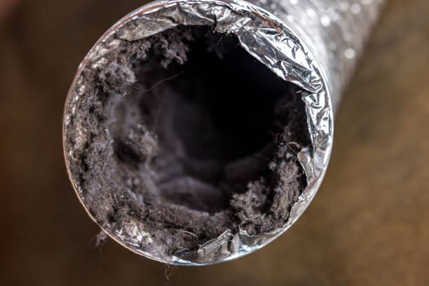 Best Home Air Vent Cleaning  in Ripon, WI